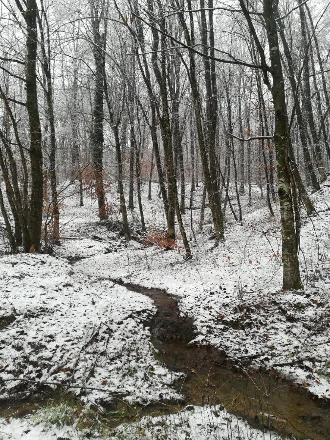 Carobna Suma *** * Karlovac